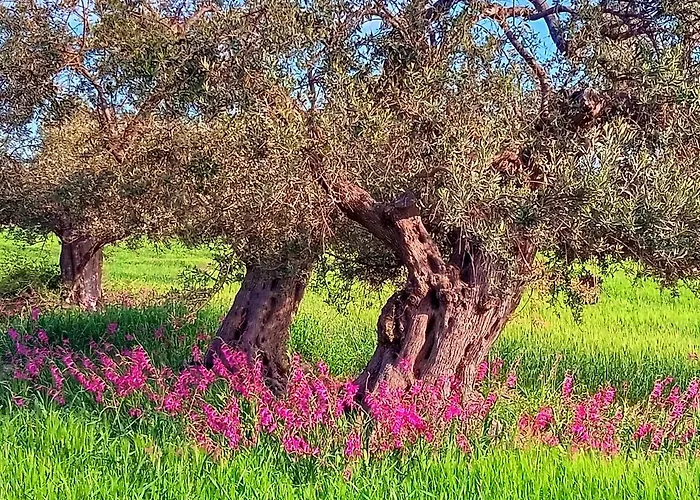Frühstückspension Nella